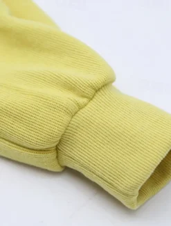 Kids Girls' Sweatshirt & Pants 2 Pieces Clothing Set Long Sleeve Gray Purple Pink Solid Color Sports Vacation Fashion Comfort 3-12 Years