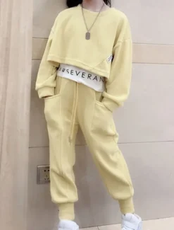 Kids Girls' Sweatshirt & Pants 2 Pieces Clothing Set Long Sleeve Gray Purple Pink Solid Color Sports Vacation Fashion Comfort 3-12 Years