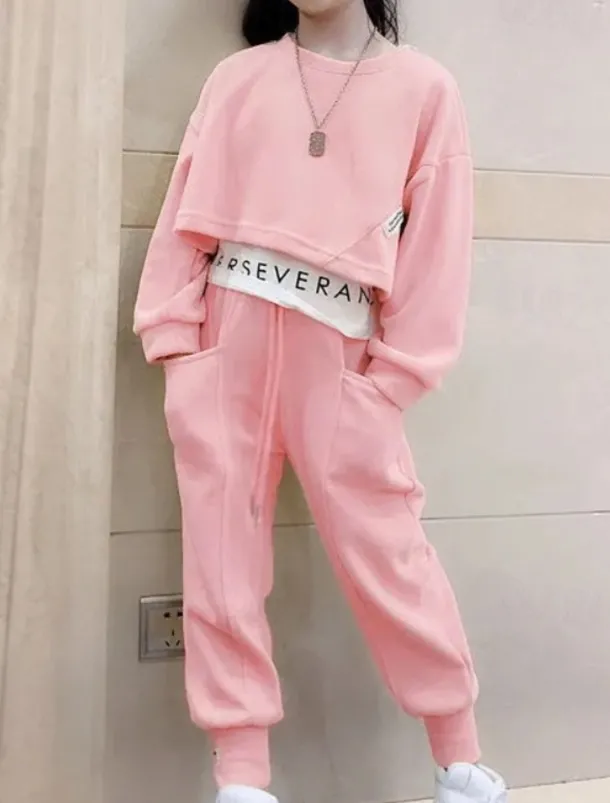 Kids Girls' Sweatshirt & Pants 2 Pieces Clothing Set Long Sleeve Gray Purple Pink Solid Color Sports Vacation Fashion Comfort 3-12 Years