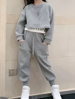 Kids Girls' Sweatshirt & Pants 2 Pieces Clothing Set Long Sleeve Gray Purple Pink Solid Color Sports Vacation Fashion Comfort 3-12 Years