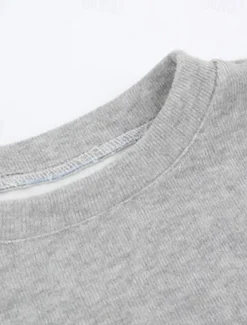 Kids Girls' Sweatshirt & Pants 2 Pieces Clothing Set Long Sleeve Gray Purple Pink Solid Color Sports Vacation Fashion Comfort 3-12 Years