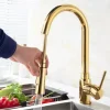 Kitchen faucet - Single Handle One Hole Electroplated Pull-out / Pull-down Centerset Modern Contemporary Kitchen Taps