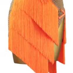 Latin Dance Dress Rhinestone Tassel Women's Girls' Performance Training Sleeveless High Spandex