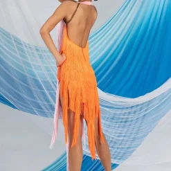 Latin Dance Exotic Dancewear Latin Salsa Dance Dress Tassel Splicing Women's Performance Daily Wear Sleeveless Chinlon