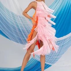 Latin Dance Exotic Dancewear Latin Salsa Dance Dress Tassel Splicing Women's Performance Daily Wear Sleeveless Chinlon