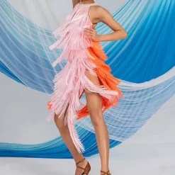 Latin Dance Exotic Dancewear Latin Salsa Dance Dress Tassel Splicing Women's Performance Daily Wear Sleeveless Chinlon