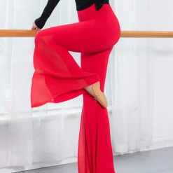 Latin Dance Pants Split Joint Women's Daily Training Performance Long Sleeve Modal Dance Basic