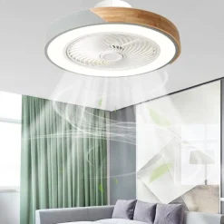 LED Ceiling Fans with lights Dimmable with Remote Contral 20" Flush Mount Ceiling Lamp Acrylic Lampshade Chandelier Bedroom Living Room
