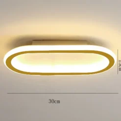 LED Ceiling Light 1-Light 60cm Flush Mount Lights Silica gel Aluminum Ceilling Light for Corridor Porch Bar Creative Loft Balcony Lamps Warm White/White 110-240V