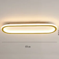 LED Ceiling Light 1-Light 60cm Flush Mount Lights Silica gel Aluminum Ceilling Light for Corridor Porch Bar Creative Loft Balcony Lamps Warm White/White 110-240V