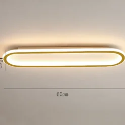 LED Ceiling Light 1-Light 60cm Flush Mount Lights Silica gel Aluminum Ceilling Light for Corridor Porch Bar Creative Loft Balcony Lamps Warm White/White 110-240V