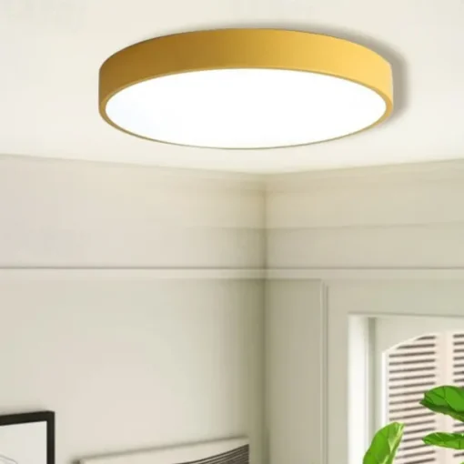 LED Ceiling Light Macaron Dimmable 40cm/50cm/60cm Ceiling Lights for Living Room Bedroom Office 110-240V
