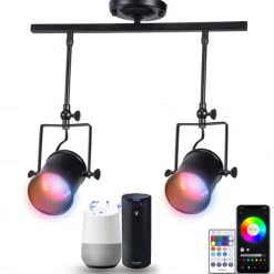 LED Ceiling Spotlight Retro Vintage Ceiling lights E27 Downlight, 2-lights Round Design Black Iron Lampshade, Rotatable Adjustable Industrial Wind Spotlights