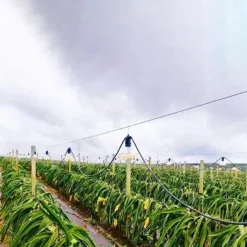 LED Grow Light for Indoor Plants E27 15W 48LED Beads Full Spectrum Fixture White Purple 220-240 V Vegetable Greenhouse