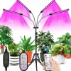 LED Grow Light for Indoor Plants Full Spectrum with Bracket and Remote Control 5V EU US UK Standard For Indoor Plant Flower Seedling VEG Tent Phyto Lamp