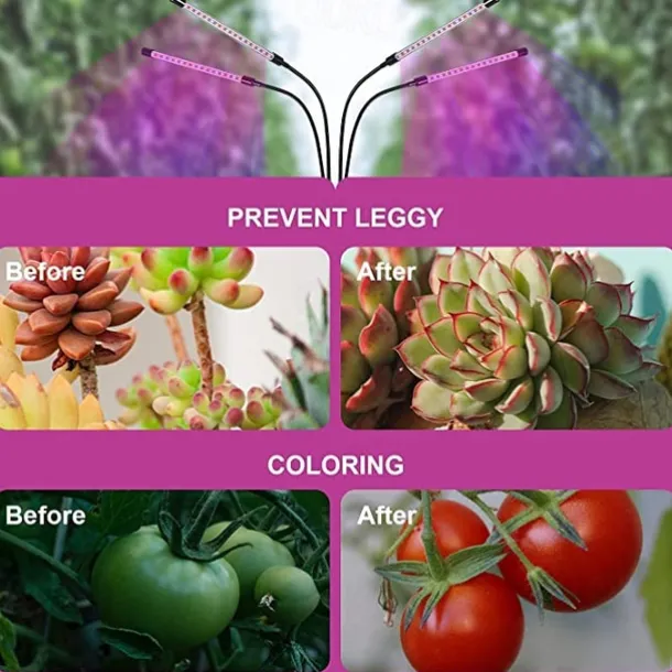 LED Grow Light for Indoor Plants Full Spectrum with Bracket and Remote Control 5V EU US UK Standard For Indoor Plant Flower Seedling VEG Tent Phyto Lamp