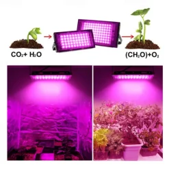 LED Grow Light 1pc AC220V 50W 100W LED Full Spectrum Phyto Lamp Greenhouse Hydroponic Plant Growth Lighting