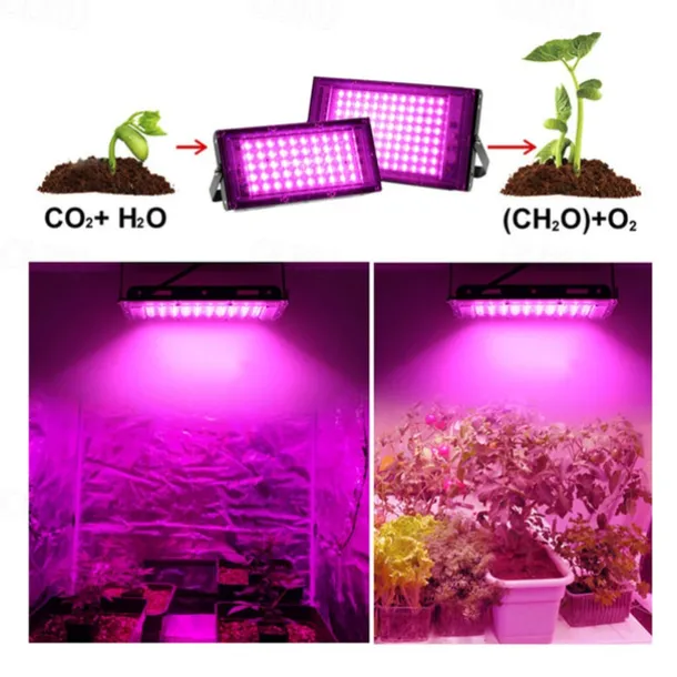 LED Grow Light 1pc AC220V 50W 100W LED Full Spectrum Phyto Lamp Greenhouse Hydroponic Plant Growth Lighting