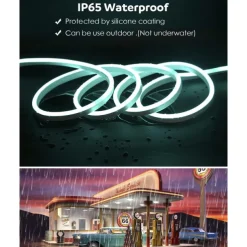 LED Neon RGB Light Strip 3M-30M with Bluetooth & APP Control, Waterproof IP65 Music Sync Multi-Color Flexible Strip for Home, Garden, Building Decor AC220V