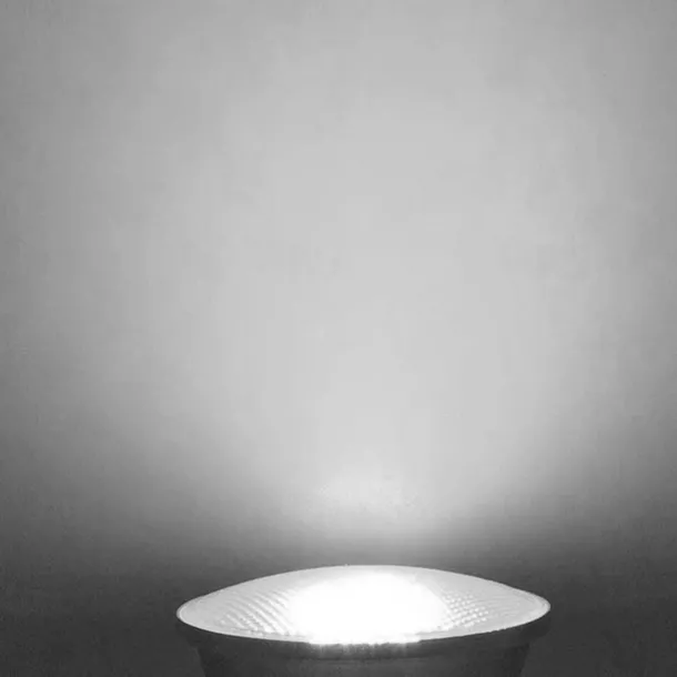 LED Spotlight E27 Bulbs R125 PAR20 PAR30 PAR38 White/Warm White, IP65 Waterproof for Outdoor Indoor Use 110V-240V