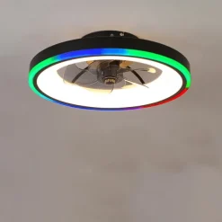 2-Light 50 cm Dimmable Ceiling Fan Metal Acrylic Modern Nordic Style 220-240V