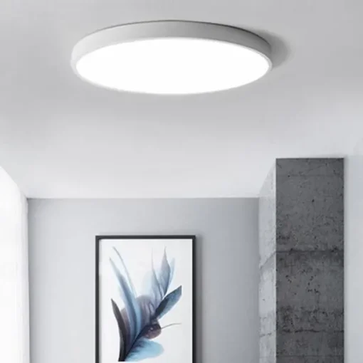 1-Light 40 cm Dimmable Ceiling Light LED Flush Mount Lights Acrylic LED 110-120V / 220-240V / ROHS