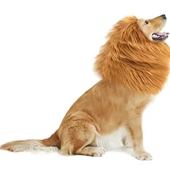 Lion Mane for Dog Costume, Realistic Funny Lion Wig for Medium to Large Sized Dogs, Fancy Dog Lion Mane (Brown Ear Tail)dog halloween costumes
