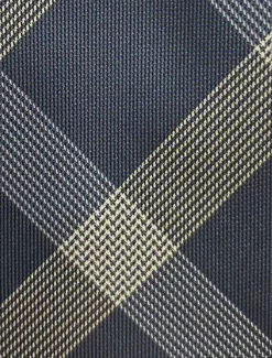 Men's 100% Silk Ties Elegant Fashion Designer Embroidered Embroidery Plaid Polka Dot Striped Formal Wedding Party