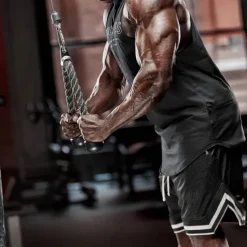 Men's Active Shorts Workout Shorts Basketball Shorts Running Shorts Pocket Drawstring Sporty Animal Cycling Breathable Short Sport Gym Sports & Outdoors Sporty Slim Black White Stretchy