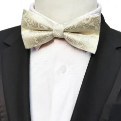 Men's Bow Tie Party Work Jacquard Formal Party Evening