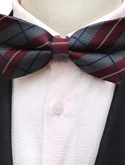 Men's Bow Tie Party Work Jacquard Formal Party Evening