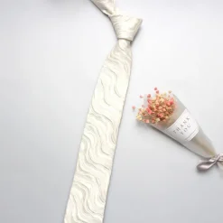 Men's Neckties Fashion Business Classic Lines / Waves Wedding Party Daily Wear