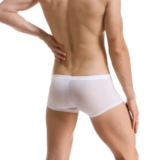 Men's 1pack Underwear Boxers Underwear Basic Polyester Pure Color Low Waist Light Blue Black
