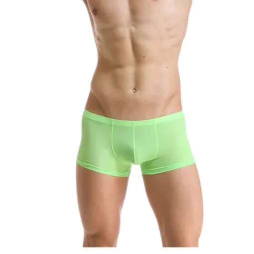 Men's 1pack Underwear Boxers Underwear Basic Polyester Pure Color Low Waist Light Blue Black