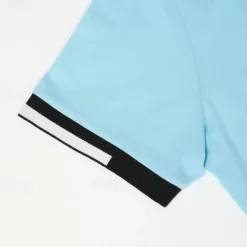 Men's Polo Shirts Sports Polo Shirts Casual Sports Ribbed Polo Collar Short Sleeve Fashion Basic Solid Color Classic Style Summer Regular Fit Black White Light Green Red Light Blue Polo Shirts