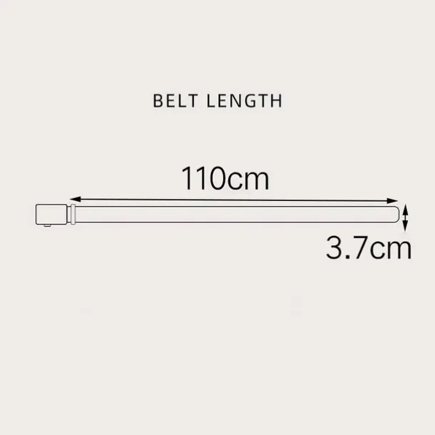 Men's Sashes Belt Men's belt Waist Belt Black Brown PU Leather Alloy Modern Contemporary Solid / Plain Color Daily Wear Vacation Casual Daily
