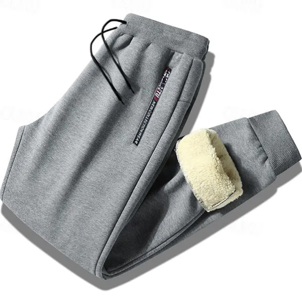 Men's Sherpa Fleece Pants Sweatpants Joggers Winter Pants Pocket Letter Warm Daily Leisure Sports Going out Streetwear Casual Black Black Straight Leg Micro-elastic
