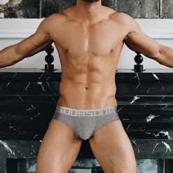 Men's Sport Briefs Underwear Home Casual Winter Cotton Breathable Soft Sweat wicking Running Jogging Sportswear Activewear Solid Colored Gray Red Blue / Stretchy