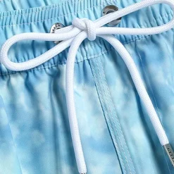 Men's Swim Shorts Board Shorts Swim Trunks Print Quick dry Breathable Drawstring Elastic Waist Vacation Beach Hawaiian Casual Blue