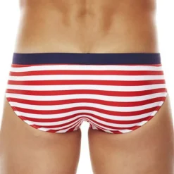 Men's Swimwear Swim Shorts Shorts Swim Briefs Print Stripe Comfort Breathable Outdoor Daily Going out Sports Hawaiian Black Red