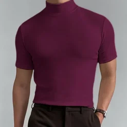 Men's T Shirt Turtleneck shirt Short Sleeve Stand Collar Summer Spring Plain Fashion Casual Comfortable Vacation Street Holiday Black White Red Top Tee for Men