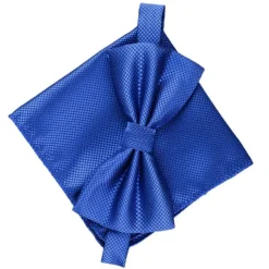 Men's Ties Bow Tie Neckties Stripes and Plaid Formal Evening Wedding Party Festival