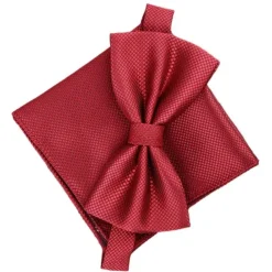 Men's Ties Bow Tie Neckties Stripes and Plaid Formal Evening Wedding Party Festival