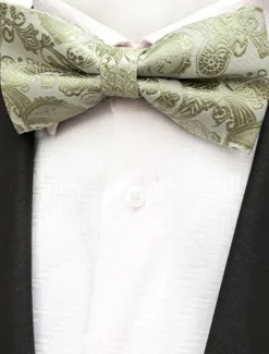 Men's Ties Bow Tie Work Wedding Gentleman Jacquard