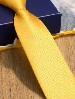 Men's Ties Modern Contemporary Office / Business Classic Stripes and Plaid Formal Evening Date Party & Evening