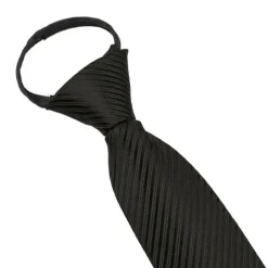 Men's Ties Neckties Stripes and Plaid Formal Evening Festival