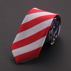 Men's Ties Neckties Stripes and Plaid Formal Evening Festival