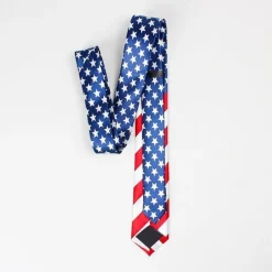 Men's Ties Neckties Stripes and Plaid Formal Evening Festival