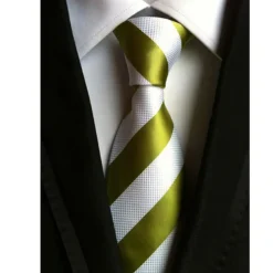 Men's Ties Neckties Work Wedding Gentleman Formal Style Modern Style Fashion Striped Formal Business Formal Evening