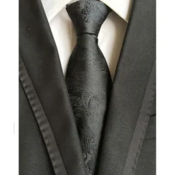 Men's Ties Neckties Work Wedding Gentleman Formal Style Modern Style Jacquard Fashion Jacquard Formal Business Formal Evening